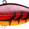 Spring Craw