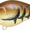 All Brown Craw