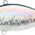 MS American Shad