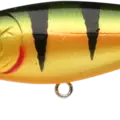 Northern Yellow Perch