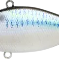 Live Threadfin Shad