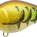 All Table Rock Craw