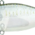 Live Ghost Minnow