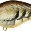 Magic Craw