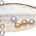 Striped Shad