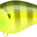 Sexy Chartreuse Pearch