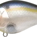 Ghost Threadfin Shad
