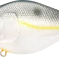 Sexy Chartreuse Shad