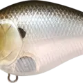 Ghost Minnow