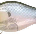 Ghost Minnow