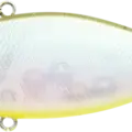 Golden Ghost Minnow