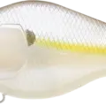 Chartreuse Shad