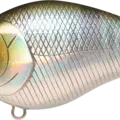 Misty Shad