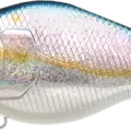 MS American Shad