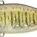 Smallmouth Bass