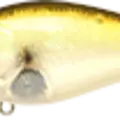 Aurora Ghost Golden Shiner