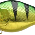 Aurora Green Perch