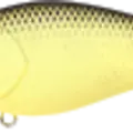 Chartreuse Black