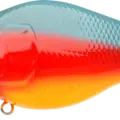 Parrot Shad