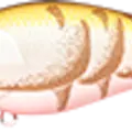 Summer Craw