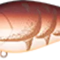 Fall Craw