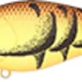 Winter Craw