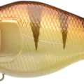 Walleye