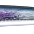 Yoinokuchi