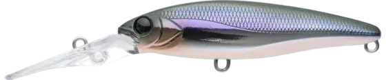 Apia Mayol