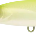 Chart Back Pearl