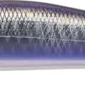 Keimura Katakuchi DNA