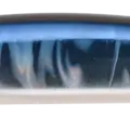 Seguro Iwashi