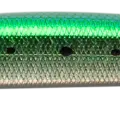 Titanic Sardine