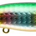 Matsuo Deluxe