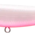 Pearl Red Belly