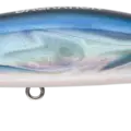 Seguro Iwashi