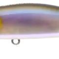 Ayu