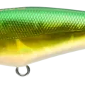 Gurikin Kohada