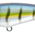 Perch
