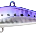 Iwashi Glow Belly