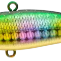 Matsuo Deluxe