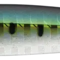 Iwashi