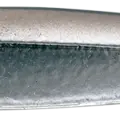 Katakuchi Iwashi