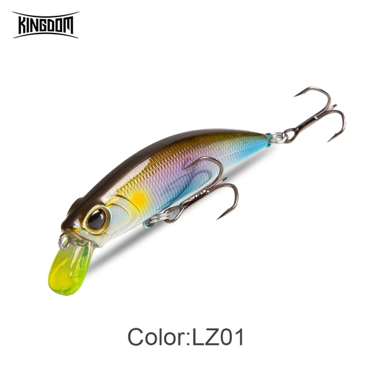 Kingdom 0502 Bright Boy