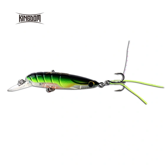 Kingdom 3519 Backward Insect