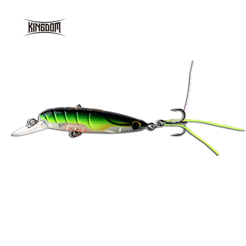 Kingdom 3519 Backward Insect