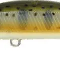 851