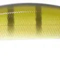 337