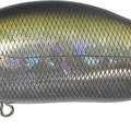 300