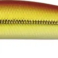 703